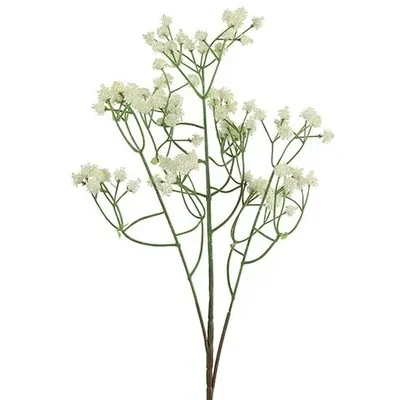 Gypsophila - Gipskruid wit L20xB20xH62CM
